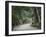 Path to Kasuga-Taisha Shrine, Nara, Kansai, Honshu, Japan-Schlenker Jochen-Framed Photographic Print