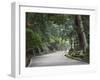 Path to Kasuga-Taisha Shrine, Nara, Kansai, Honshu, Japan-Schlenker Jochen-Framed Photographic Print