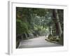 Path to Kasuga-Taisha Shrine, Nara, Kansai, Honshu, Japan-Schlenker Jochen-Framed Photographic Print