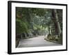 Path to Kasuga-Taisha Shrine, Nara, Kansai, Honshu, Japan-Schlenker Jochen-Framed Photographic Print