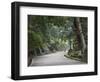 Path to Kasuga-Taisha Shrine, Nara, Kansai, Honshu, Japan-Schlenker Jochen-Framed Photographic Print