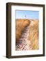 Path to Lighthouse-soupstock-Framed Photographic Print