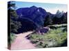 Path to Mountains, Boulder-Michael Brown-Stretched Canvas