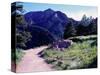 Path to Mountains, Boulder-Michael Brown-Stretched Canvas