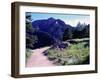 Path to Mountains, Boulder-Michael Brown-Framed Photographic Print