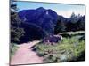 Path to Mountains, Boulder-Michael Brown-Mounted Photographic Print
