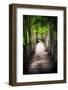 Path To My Destination-George Oze-Framed Photographic Print