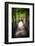 Path To My Destination-George Oze-Framed Photographic Print