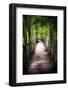 Path To My Destination-George Oze-Framed Photographic Print