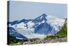 Path to Portage Glacier-Latitude 59 LLP-Stretched Canvas