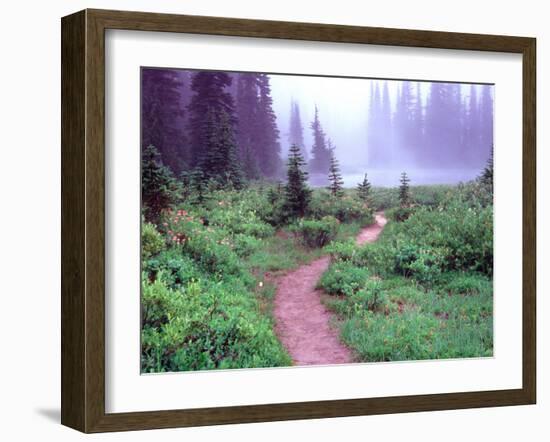 Path to Reflection Lake, Mt. Rainier National Park, Washington, USA-Janell Davidson-Framed Premium Photographic Print