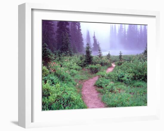 Path to Reflection Lake, Mt. Rainier National Park, Washington, USA-Janell Davidson-Framed Premium Photographic Print