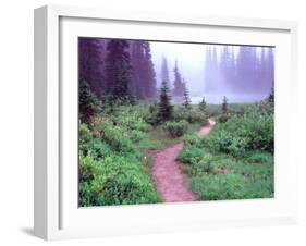 Path to Reflection Lake, Mt. Rainier National Park, Washington, USA-Janell Davidson-Framed Premium Photographic Print