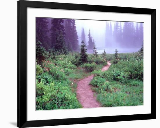 Path to Reflection Lake, Mt. Rainier National Park, Washington, USA-Janell Davidson-Framed Photographic Print