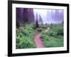 Path to Reflection Lake, Mt. Rainier National Park, Washington, USA-Janell Davidson-Framed Photographic Print