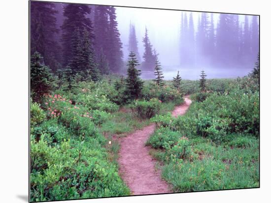 Path to Reflection Lake, Mt. Rainier National Park, Washington, USA-Janell Davidson-Mounted Photographic Print