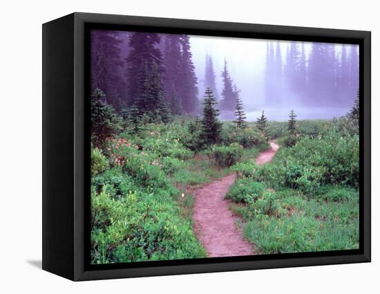 Path to Reflection Lake, Mt. Rainier National Park, Washington, USA-Janell Davidson-Framed Stretched Canvas