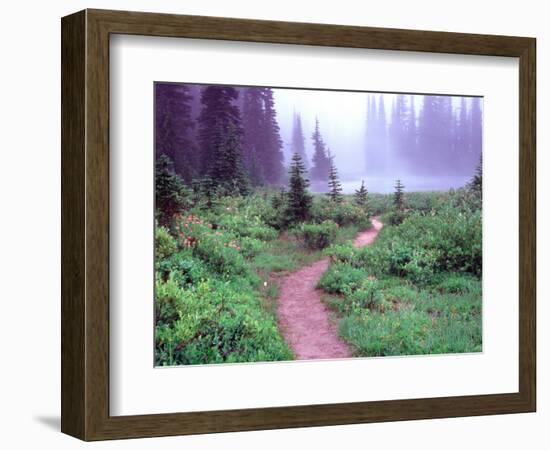 Path to Reflection Lake, Mt. Rainier National Park, Washington, USA-Janell Davidson-Framed Photographic Print