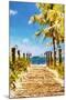 Path to the Beach II - In the Style of Oil Painting-Philippe Hugonnard-Mounted Giclee Print
