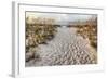 Path to the Beach-Michael Cahill-Framed Giclee Print