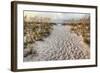 Path to the Beach-Michael Cahill-Framed Giclee Print