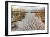 Path to the Beach-Michael Cahill-Framed Giclee Print