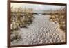 Path to the Beach-Michael Cahill-Framed Giclee Print