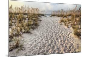 Path to the Beach-Michael Cahill-Mounted Art Print