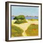 Path to the Beach-Phyllis Adams-Framed Art Print