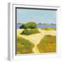 Path to the Beach-Phyllis Adams-Framed Art Print