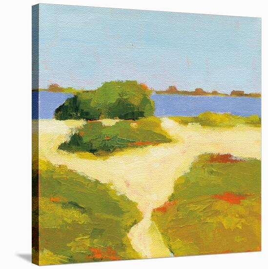 Path to the Beach-Phyllis Adams-Stretched Canvas