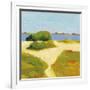 Path to the Beach-Phyllis Adams-Framed Art Print