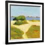 Path to the Beach-Phyllis Adams-Framed Art Print