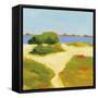 Path to the Beach-Phyllis Adams-Framed Stretched Canvas