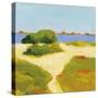 Path to the Beach-Phyllis Adams-Stretched Canvas
