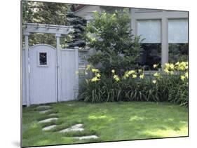 Path to the Garden Gate Lined with Daylilies-null-Mounted Photographic Print