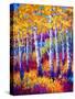 Path To The Lake-Marion Rose-Stretched Canvas