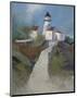 Path to the Lighthouse-Albert Swayhoover-Mounted Art Print