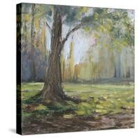 Path to the Tree I-Sandra Iafrate-Stretched Canvas