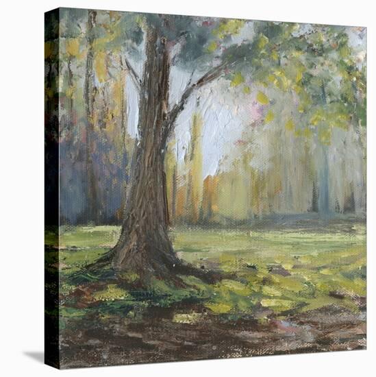 Path to the Tree I-Sandra Iafrate-Stretched Canvas