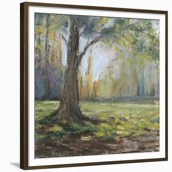 Path to the Tree I-Sandra Iafrate-Framed Premium Giclee Print