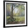 Path to the Tree I-Sandra Iafrate-Framed Premium Giclee Print