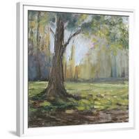 Path to the Tree I-Sandra Iafrate-Framed Premium Giclee Print