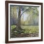 Path to the Tree I-Sandra Iafrate-Framed Art Print