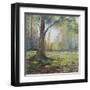 Path to the Tree I-Sandra Iafrate-Framed Art Print