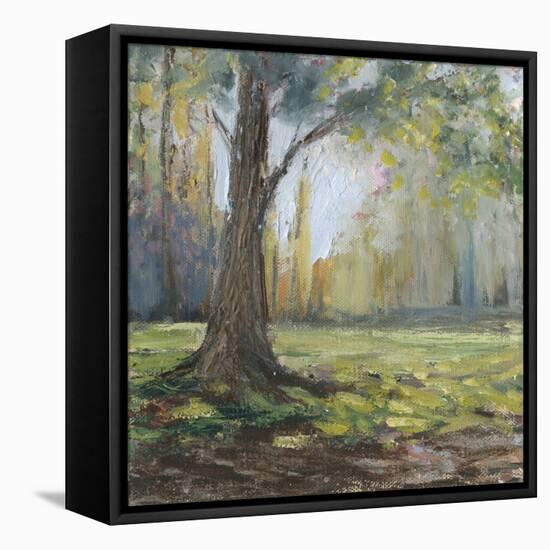 Path to the Tree I-Sandra Iafrate-Framed Stretched Canvas