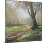 Path to the Tree II-Sandra Iafrate-Mounted Art Print