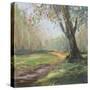 Path to the Tree II-Sandra Iafrate-Stretched Canvas