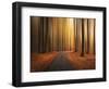 Path to unknown-Christian Lindsten-Framed Photographic Print