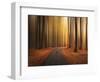 Path to unknown-Christian Lindsten-Framed Photographic Print